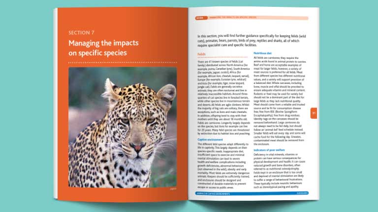 ABTA Animal Welfare Guides Spread